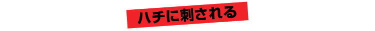 ハチに刺される