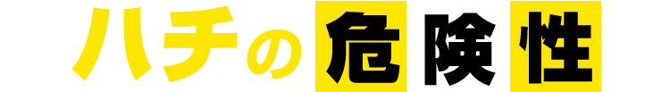 ハチの危険性