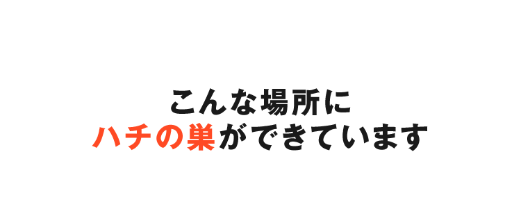 こんな場所にハチの巣ができています