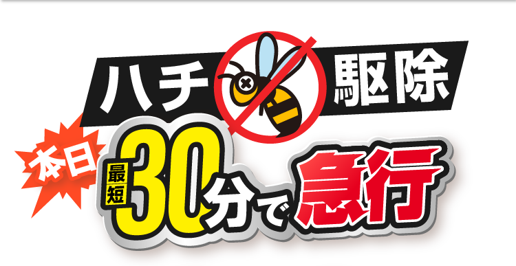 ハチ駆除 本日 最短30分で急行