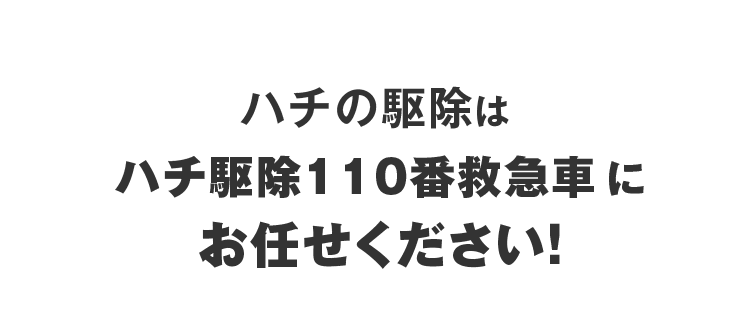 ハチの駆除はハチ駆除110番救急車にお任せください！